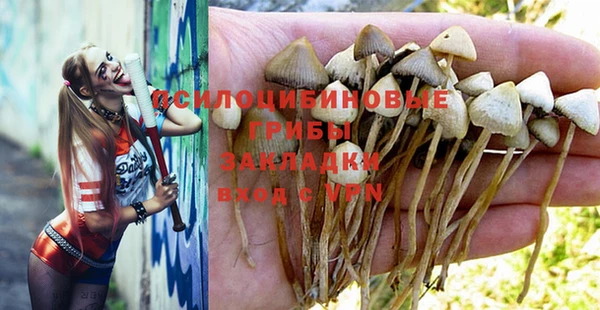 хмурый Алексеевка