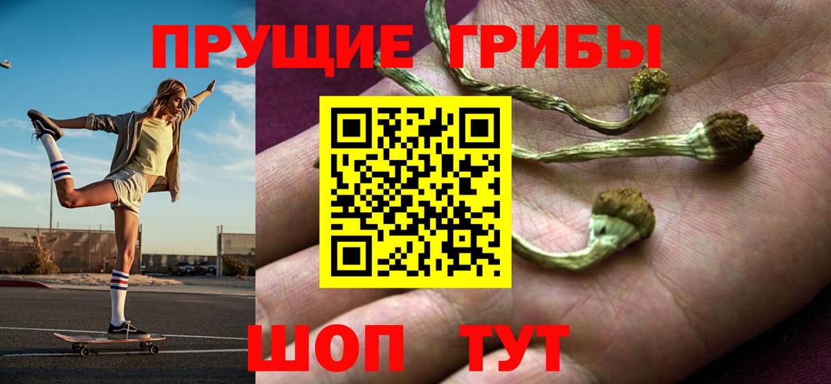 Псилоцибиновые грибы мухоморы  Вход с VPN  закладки  Тосно 